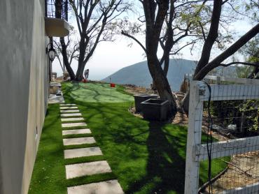 Artificial Grass Photos: Synthetic Grass Sisquoc, California Putting Green, Backyard